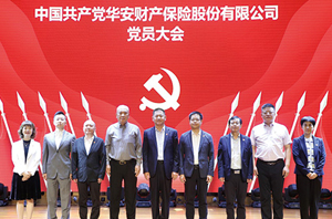 中国共产党华安财产保险股份有限公司党员大会胜利召开，完成党委纪委增补选举