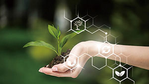 特色农业保险发展历程现状及对策研究——以青岛市为例