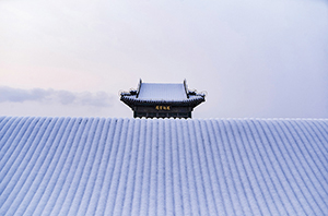 雪落颐和：一幅凝固的古典诗画